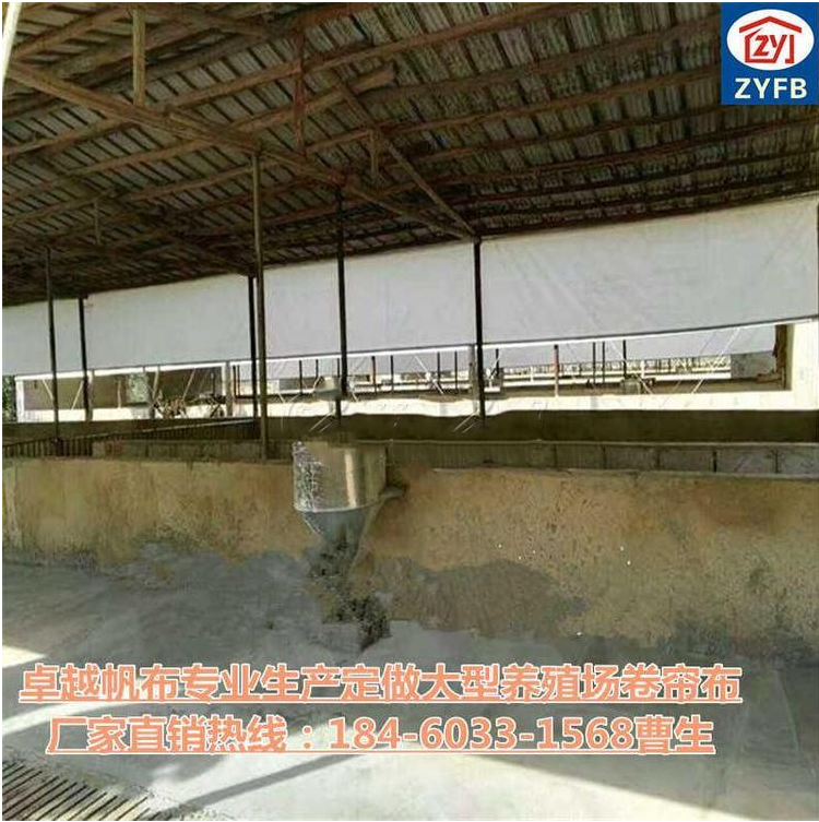 供应优质牛场卷帘布