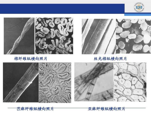 精细！！鉴别纱线品种的方法