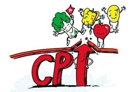 CPI同比上涨0.5% 10月物价数据释放哪些信号？