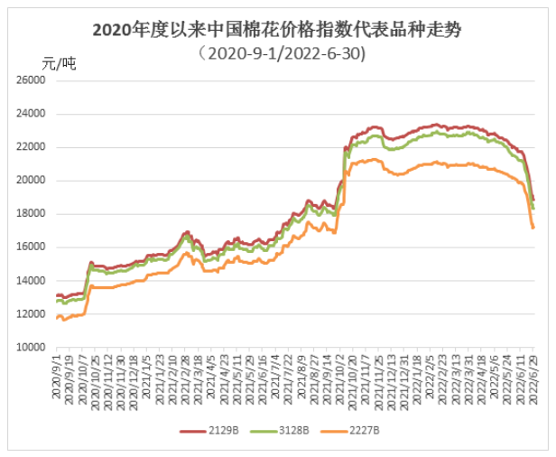 6月中国棉花价格指数月报：国内棉价大幅下跌 下游需求依然较弱