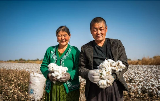 棉市大消息！疆棉外运出新政！新疆部分棉田需重播！