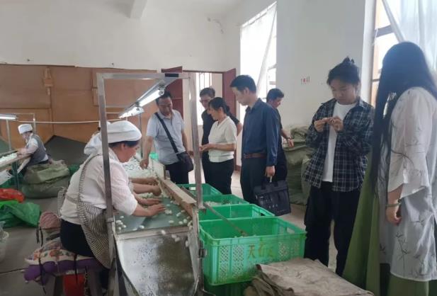 云南楚雄：监管服务共同发力、助推茧丝产业发展
